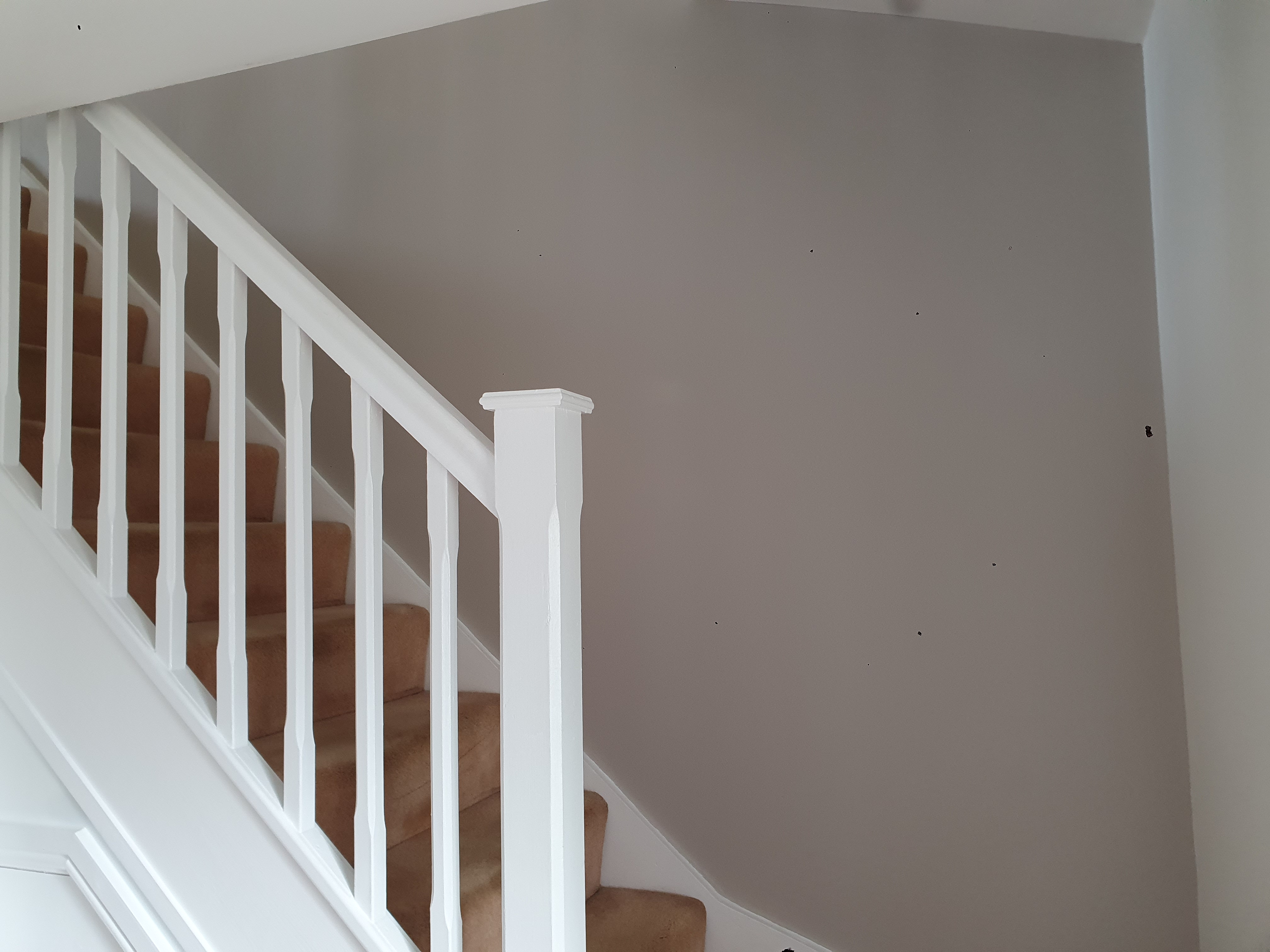 Decorated domestic room with clean lines